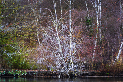 Dutzendteich