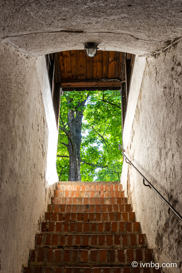 Heilkräutergarten am Hallertor