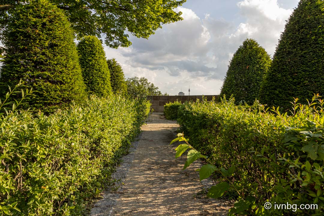 Heilkräutergarten am Hallertor