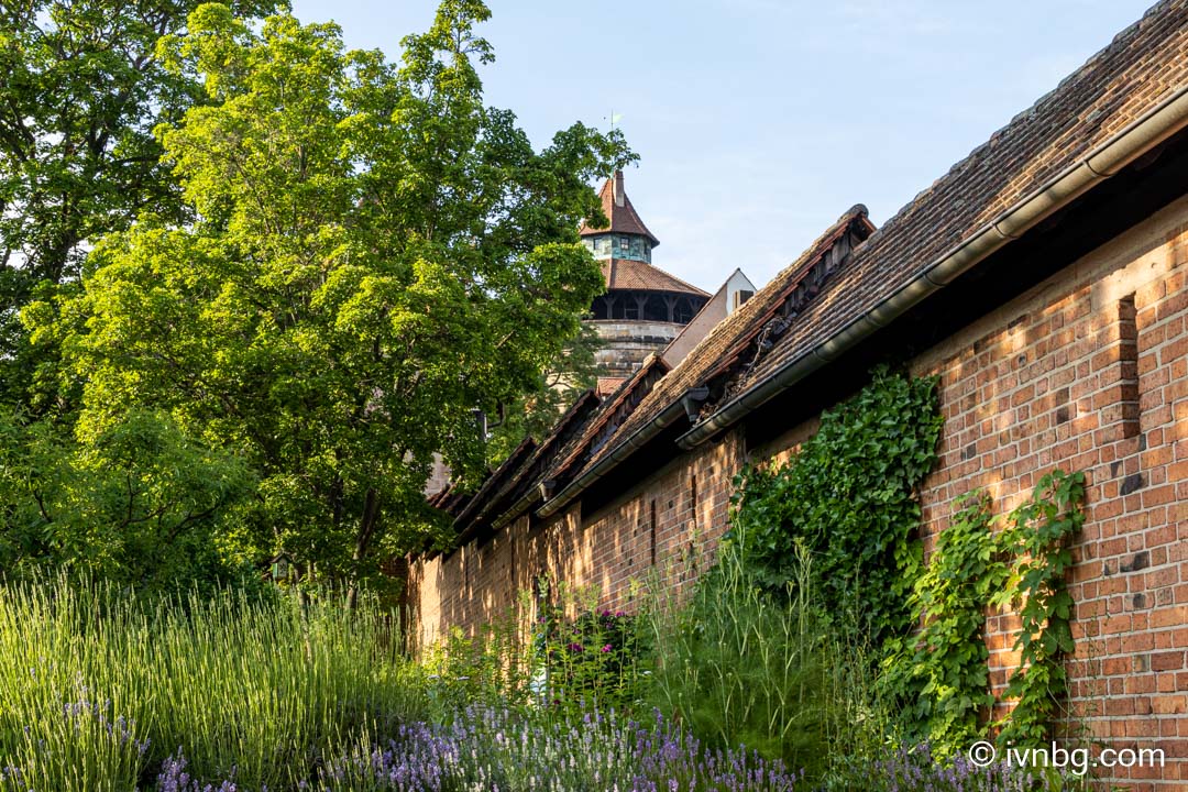 Heilkräutergarten am Hallertor