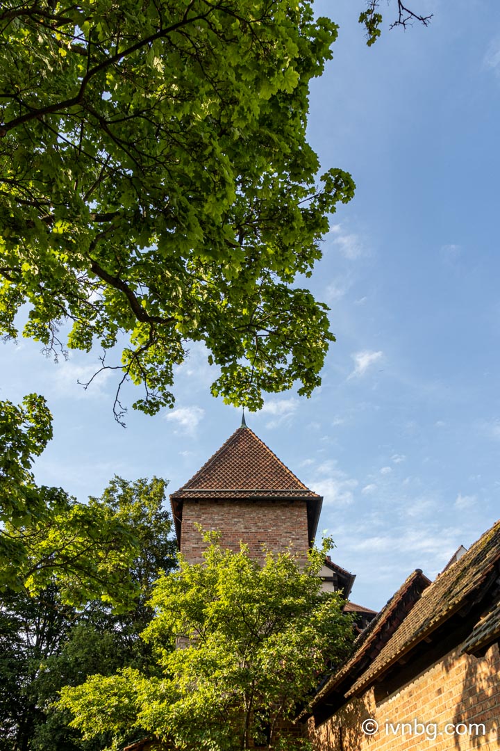 Heilkräutergarten am Hallertor