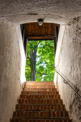 Heilkräutergarten am Hallertor