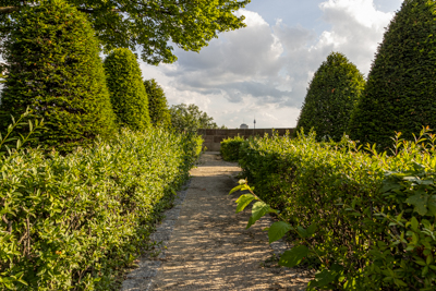 Heilkräutergarten am Hallertor