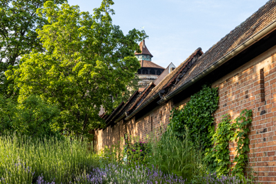 Heilkräutergarten am Hallertor