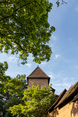 Heilkräutergarten am Hallertor