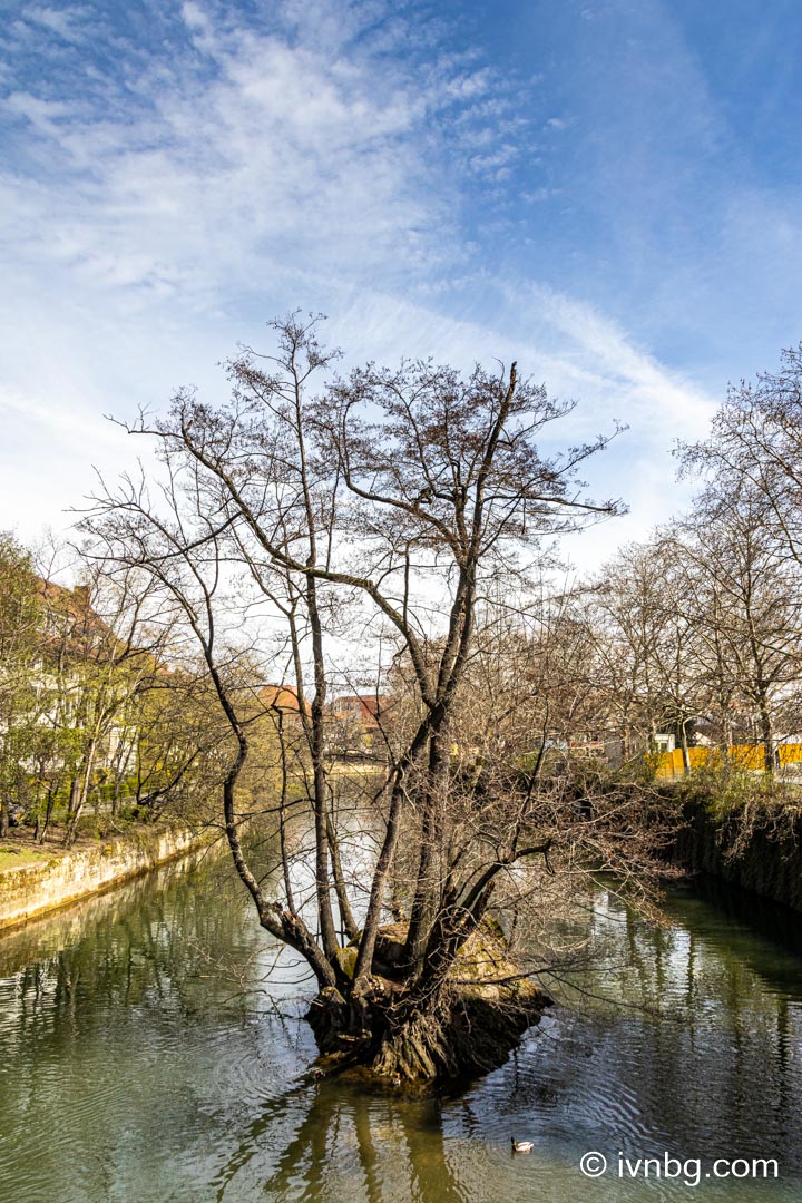 Insel Schütt