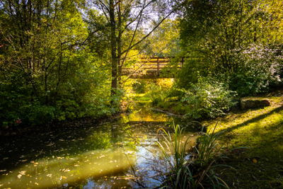 Langwasser