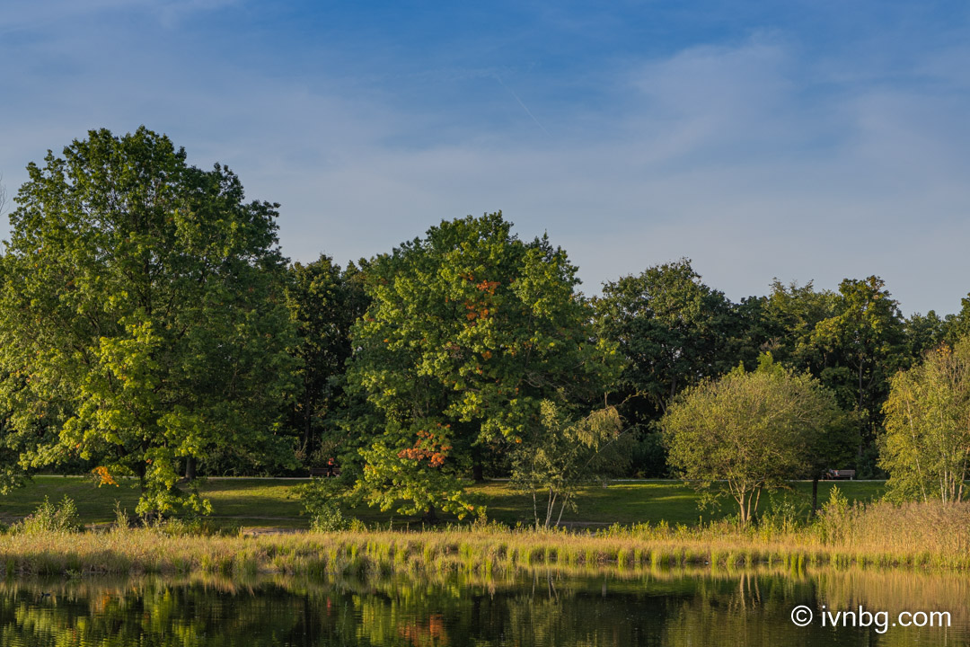 Volkspark Marienberg