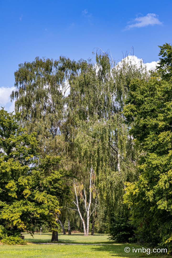 Volkspark Marienberg