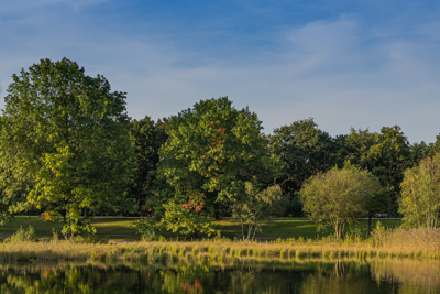 Volkspark Marienberg