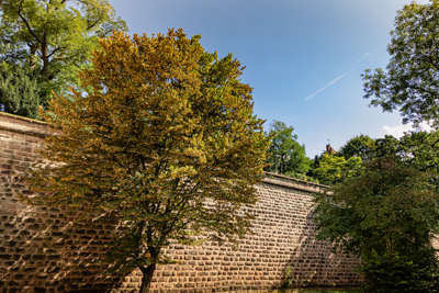 Stadtmauer