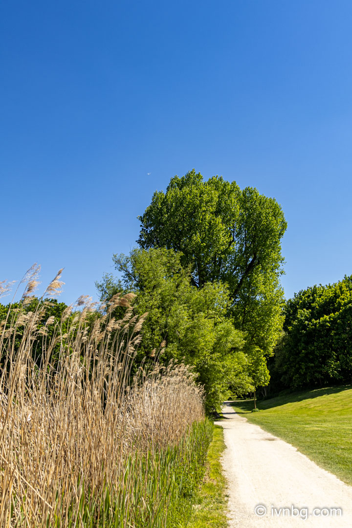 Volkspark Dutzendteich