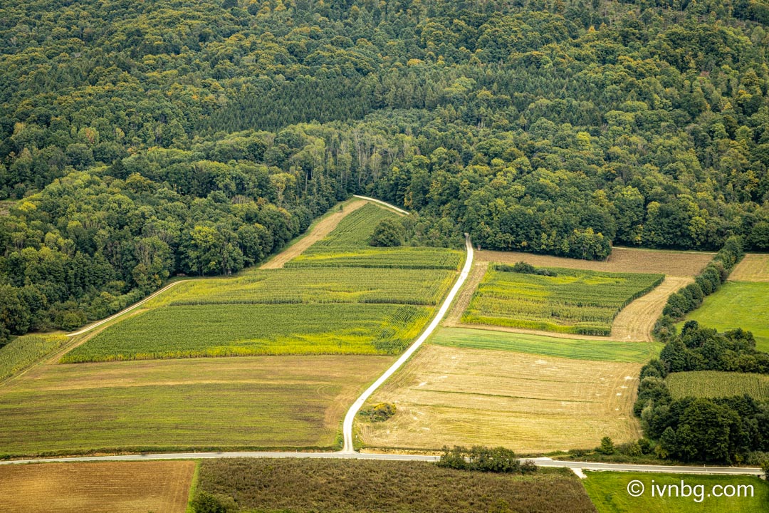 Walberla (Ehrenbürg)