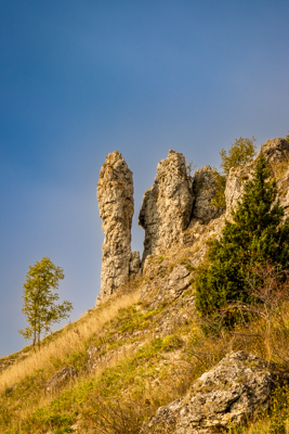 Walberla (Ehrenbürg)